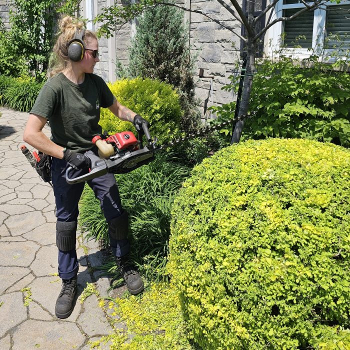 Compagnie entretien paysager ville de québec